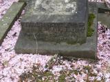 image of grave number 683352